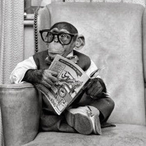 Meet your Posher, Jesse